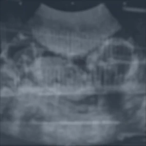 「あだると」/ 武田鳴アートワーク