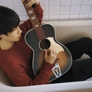 「アムニジア」Togozアートワーク