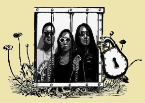 あんぽんたんアー写