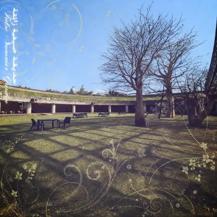 『False SummerGarden』/ untitled01アートワーク