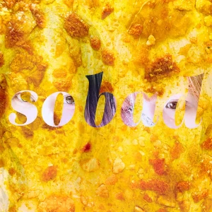 『so bad』/ vitaruunアートワーク