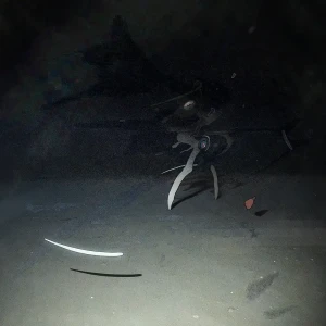 『心霊療法』/ 綿貫雪アートワーク