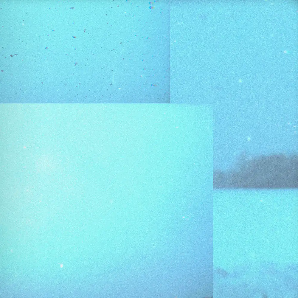 「Snowdrop」/ WAZGOGG, Koshun Nakaoアートワーク