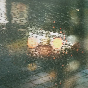 「Polaroid」/ Wataru Fujiwaraアートワーク