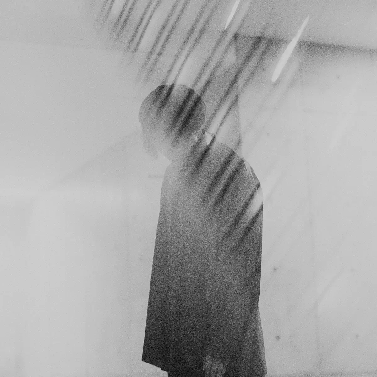 Wednesday Wonderland.アー写