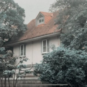 『Wherever, Whenever, Whatever, Forever』Wednesday Wonderland.アートワーク