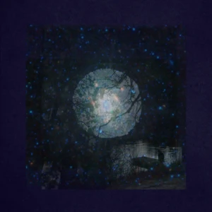 『my early years, your spiral arms』 / Yasu Cubアートワーク