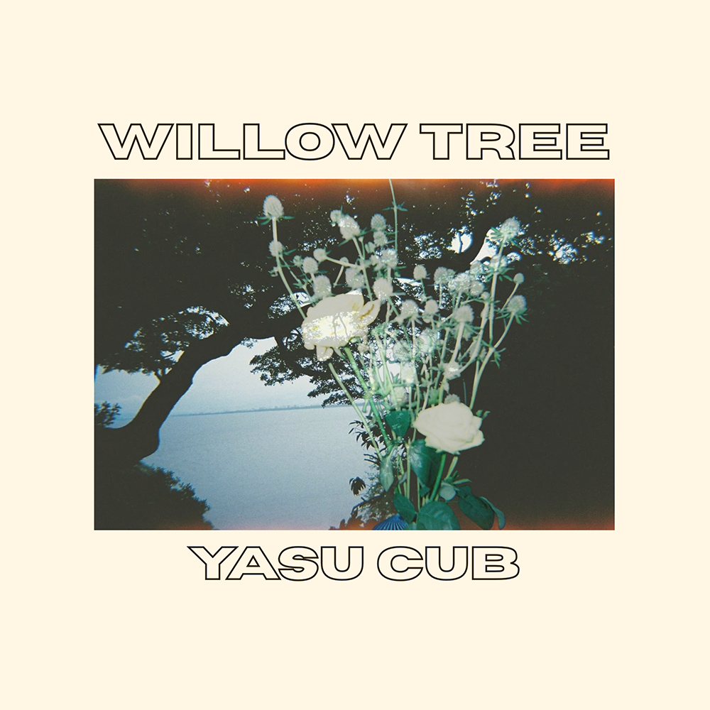 『willow tree』 / Yasu Cubアートワーク