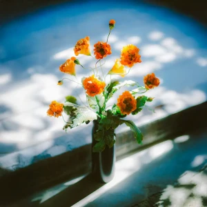 「タイニー」/ yolufaアートワーク