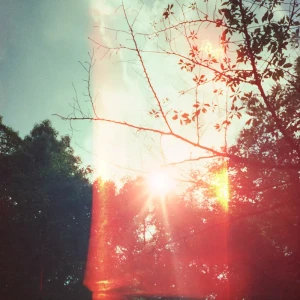 「この道の先に」 ZARUKAMEアートワーク