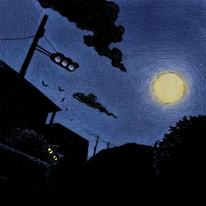 「つきよ」/ ざわんどじゅんアートワーク