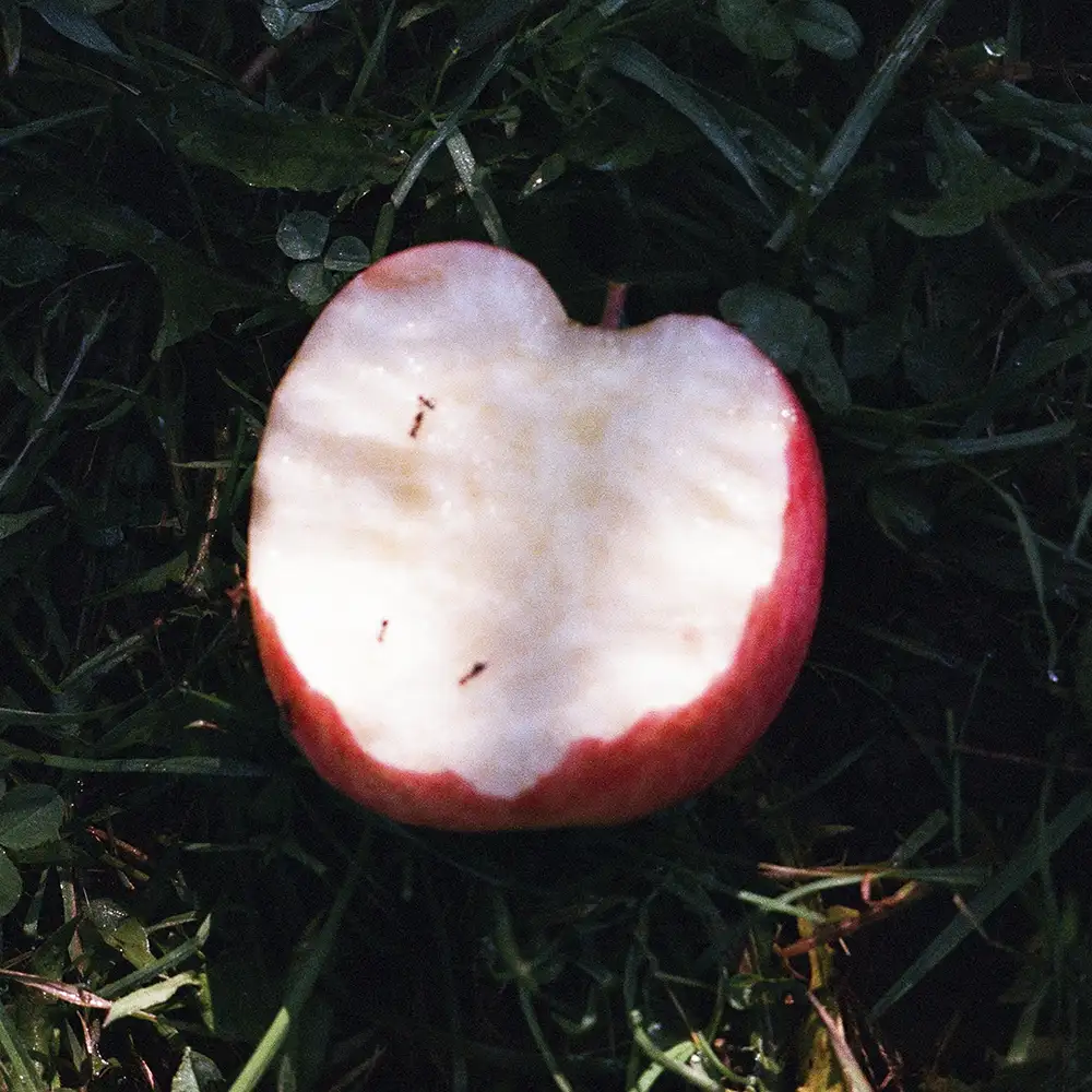 「EMOtional」/ ZINアートワーク